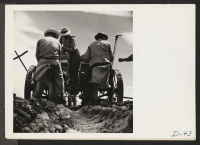 [recto] Tule Lake, Newell, Calif.--A view of evacuee farmers at work on a semi-automatic-feeding, rotary potato planter. ;  Photographer: Stewart, Francis ;  Newell, California.