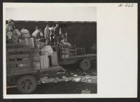 [recto] Truck loads of freight, in many cases the sole possessions of the evacuee owners, are shown being unloaded from the train which brought segregees from Topaz to Tule Lake. ;  Photographer: Mace, Charles E. ; , .