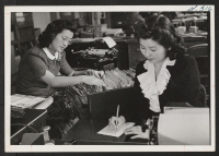 [recto] Pat Urushima and Tami Nakaguchi, both from Jerome Relocation Center, are now working for the Public Health Service at Bethesda, Maryland, using the secretarial experience which they received in the center. ;  Photographer: Van Tassel, Gretchen ;  Beth