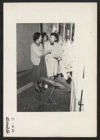 [recto] Arcadia, Calif.--Mrs. Lily Okura taking in the wash and making new friends at the Santa Anita Assembly Center for evacuees of Japanese ancestry. Later they will be transferred to War Relocation Authority centers to spend the duration. ;  Photographer: A