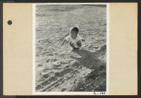 [recto] Poston, Ariz.--Little evacuee playing in the desert sand at this War Relocation Authority center for evacuees of Japanese ancestry. ;  Photographer: Clark, Fred ;  Poston, Arizona.