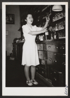 [recto] Miss Rose Utsunomiya, who recently relocated from Jerome, filling a prescription in the pharmacy of Philadelphia's Jefferson Hospital. She is also working for her degree at the Philadelphia College of Pharmacy and Science. ;  Philadelphia, Pennsylvania.