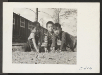[recto] If he's a boy in America he plays marbles, as these lads of Japanese parentage are doing at the Rohwer Relocation Center. ;  Photographer: Parker, Tom ;  McGehee, Arkansas.