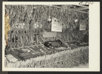 [recto] First-prize-winning booth put up by the Amache Vocational Agricultural Boys, Amache Agricultural fair, September 11 and 12. ;  Photographer: McClelland, Joe ;  Amache, Colorado.