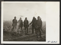 [recto] A group of evacuee farmers warming their hands over a bonfire before they start harvesting potatoes. ;  Photographer: Stewart, Francis ;  Newell, California.