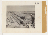 [recto] Typical scene of the construction of the barracks. Here workmen are laying concrete foundations for a barracks unit. These workmen are from Merced Assembly Center, Merced, Calif. ;  Photographer: Parker, Tom ;  Amache, Colorado.