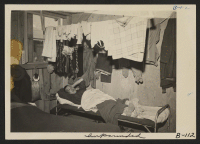 [recto] An evacuee resting on his cot after moving his belongings into this bare barracks room. Army cot and mattress are the only things furnished by the government. All personal belongings were brought by the evacuees. ;  Photographer: Albers, Clem ;  Manza