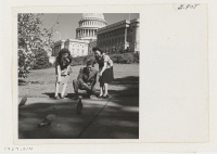 [recto] Feeding pigeons in front of the Capitol in Washington, D.C. are Jane Oi from Granada Relocation Center, Harrio Najima from ...