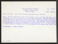 [verso] At the Issei-owned Ozone Park Nursery, Inc., near New York City, George Fuchigami, son of the founder, and two young ...