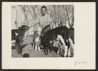 [recto] Center dairy farm foreman, J. Abe, with several of his born proteges who have already learned where their lunch is liable to be found. ;  Photographer: Parker, Tom ;  Amache, Colorado.