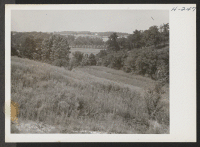 [recto] Type of farm land along the Missouri River west of St. Louis, Missouri. Much of this bottom land is flooded about one year in five, but it is so productive that it is said to more than pay for the off year. ;  Photographer: Mace, Charles E. ;  St. Lou