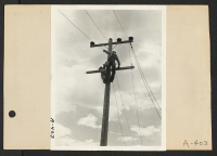 [recto] Poston, Ariz.--(Site #1)--Electric lighting is being installed at this War Relocation Authority center for evacuees of Japanese ancestry. ;  Photographer: Clark, Fred ;  Poston, Arizona.