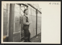 [recto] Ready to close the doors of greenhouse on strawberry truck farm in Santa Clara County. Evacuees of Japanese ancestry will be housed in War Relocation Authority centers for the duration. ;  Photographer: Lange, Dorothea ;  Mission San Jose, California.