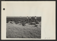[recto] A group of volunteer workers contemplate the clearing of brush on a section of the farm land at the Topaz Relocation Center. ;  Photographer: Parker, Tom ;  Topaz, Utah.