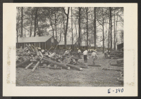 [recto] A typical wood cutting scene in the street in the north of the Rohwer Relocation Center, where former west coast ...