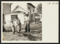 [recto] Mr. and Mrs. Shigeko Sakamoto and their son, Shiori, raking hay in the yard beside their new home in Fairfield, ...