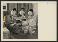 [recto] Closing of the Jerome Center, Denson, Arkansas. Three young student nurses of the Jerome Center hospital help sort and pack ...