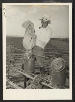 [recto] John Matsumoto, 28, former tenant farmer from Staten Island Land Company San Joaquin County, California, puts seed peas in pea drill. Twenty acres of peas are now being planted at the relocation center. ;  Photographer: Stewart, Francis ;  Newell, Cal