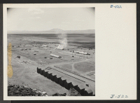 [recto] A general view of the hog farm at the Tule Lake Relocation Center. ;  Photographer: Stewart, Francis ;  Newell, California.