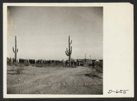 [recto] Sunrise services (Christian) were held at this center Thanksgiving day. ;  Photographer: Stewart, Francis ;  Rivers, Arizona.
