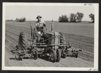 [recto] Roy Himoto, a farmer from Walnut Grove, California, is here shown operating a cultivator on one of the large Curtiss Candy Company's farms northwest of Chicago. Himoto was relocated from the Tule Lake Center. ;  Photographer: Mace, Charles E. ;  Maren
