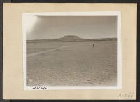 [recto] Tule Lake, Newell, Calif.--This site near Tule Lake in Modoc County, just south of the Oregon border, has been selected for the construction of a War Relocation Authority center for evacuees of Japanese ancestry. ;  Photographer: Albers, Clem ;  Newel
