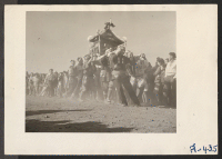 [recto] The Harvest Day Festival parade. ;  Photographer: Stewart, Francis ;  Newell, California.