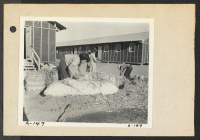 [recto] Poston, Ariz.--Evacuees of Japanese ancestry are filling straw ticks for mattresses after arrival at this War Relocation Authority center. ;  Photographer: Clark, Fred ;  Poston, Arizona.