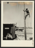 [recto] CCC telephone crew building telephone communications from Parker, Arizona, to the relocation center for evacuees of Japanese ancestry. ;  Photographer: Clark, Fred ;  Poston, Arizona.
