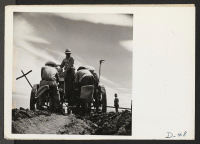 [recto] Tule Lake, Newell, Calif.-- Seed potatoes are placed in the rich black earth by this evacuee farmer crew on the farm near this War Relocation Authority center. ;  Photographer: Stewart, Francis ;  Newell, California.