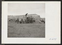 [recto] Evacuees unloading a truck load of garbage at the temporary hog farm. ;  Photographer: Stewart, Francis ;  Newell, California.
