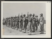 [recto] A company of Japanese-American soldiers in training at Camp Shelby present arms during a routine drill. The 442nd combat team ...