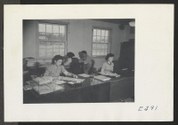 [recto] The Mail and File Section of the Office Staff at the Rohwer Center. ;  Photographer: Parker, Tom ;  McGehee, Arkansas.