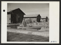 [recto] Landscaping done by evacuee residents of Camp No. 1. ;  Photographer: Stewart, Francis ;  Poston, Arizona.