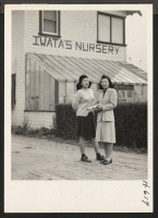 [recto] Sumi (left) and Ethel Iwata stand before the office of their greenhouse and nursery at Mountain View near San Jose, ...