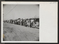 [recto] Topaz residents line the fence to watch bus loads of departing transferees pass by on their way to Delta, Utah, to entrain for Tule Lake. ;  Photographer: Mace, Charles E. ;  Topaz, Utah.
