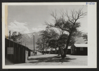 [recto] View of quarters at Manzanar, a War Relocation Authority Center where evacuees of Japanese ancestry will spend the duration. Mount Whitney, highest peak in the United States, in the background. ;  Photographer: Stewart, Francis ;  Manzanar, California