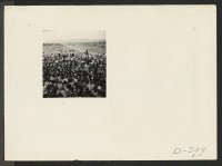 [recto] Poston, Ariz.--A group of spectator evacuees watch an outdoor musical and dramatic show. This show was the first to be given at this War Relocation Authority center, and the entertainment was furnished by evacuee talent. ;  Photographer: Stewart, Franci