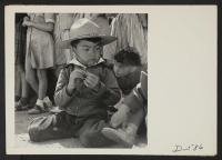 [recto] Manzanar, Calif.--A little boy evacuee of Japanese descent watches the Memorial Day service. Evacuee Boy Scouts took a leading part in the ceremony held at this War Relocation Authority Center. ;  Photographer: Stewart, Francis ;  Manzanar, California