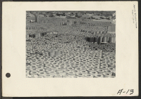 [recto] Parker [Poston], Ariz.--Rolls of roofing paper used in the construction of the War Relocation Authority center located on the Colorado River Indian Reservation. ;  Photographer: Albers, Clem ;  Poston, Arizona.