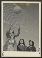 [recto] Girls from the sixth grade spend recess time in a spirited game of volleyball. ;  Photographer: Stewart, Francis ;  Manzanar, California.