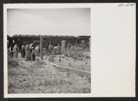 [recto] Some of the passengers aboard trip 15, Topaz to Tule Lake, show an interest in the chickens at a remote section house where the train stopped for a few minutes to allow the transferees to stretch their legs. ;  Photographer: Mace, Charles E. ; , .
