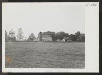 [recto] A typical western Kansas stock farm. ;  Photographer: Mace, Charles E. ; , Kansas.
