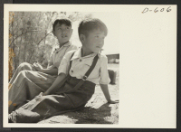 [recto] Boys of Japanese ancestry fishing for carp in the canal on the northwest side of this War Relocation Authority center where they are spending the duration. ;  Photographer: Stewart, Francis ;  Poston, Arizona.