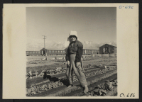 [recto] Manzanar, Calif.--Evacuee in her hobby garden which rates highest of all the garden plots at this War Relocation Authority center. Vegetables for their own use are grown in plots of 10 x 50 feet between barracks rows. ;  Photographer: Lange, Dorothea