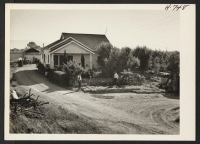 [recto] The Takeda home and pear orchard just north of San Jose, California, to which the family returned from Gila River. ...