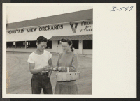 [recto] Dorothy Bailey displays a handful of crab apples grown by the Mountain View Orchard Company at Romeo, Michigan, for inspection by Sei Shoda, formerly of Pasadena, California, and a relocatee from Rohwer. ;  Photographer: Iwasaki, Hikaru ;  Romeo, Mich