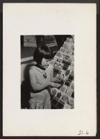 [recto] Tule Lake, Newell, Calif.--Nancy Motomatsu, 11, chooses a package of Petunia seed from the assortment in the general store at this War Relocation Authority center. Nancy, prior to evacuation, attended the seventh grade at Woodenville, Washington. ;  Pho