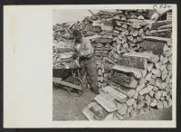 [recto] Evacuees at the Jerome Relocation Center chop their own wood in nearby wooded areas. After it is sawed and split to a convenient size for burning stoves it is piled alongside each barrack. ;  Photographer: Van Tassel, Gretchen ;  Denson, Arkansas.