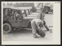 [recto] The already famous jeeps, a string of which are shown here, are kept in perfect running order at the field ...